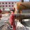 Garnet Sand 30/60Mesh For Sand Blasting Steel Surface Preparation