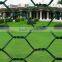 hexagonal galvanized/ pvc coated hexagonal wire mesh/ horse cage/ chicken cage from Hebei