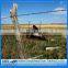 2mm electro galvanized barbed wire/y shaped fence with barbed wire/electro galvanized barbed wire
