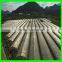 Elastic Insect Mesh Anti Bird Net for Organic Net Crop Veg Protection
