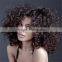 Afro kinky curly full lace wig for black women