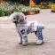 pet clothes dog