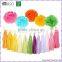 Handmade New Design Paper Tassel Garland Diy For Decoration