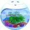 EEO LED plastic round fish tank with air quality detector