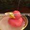 Mini USB Duck Humidifer