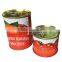Factory supply Delicious Canned Tomato Paste 210g/tin with easy open