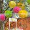 big size tissue pom poms flowers