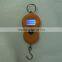 Hand Hold Weighing Scale With Hook