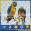 foldable bird cage rope mesh aviary netting