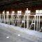 Good quality Animal feeder equipment cattle headlocks