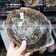 polished wooden fossil pieces for deco