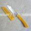 Sharp Fruit Knife Kitchen Knife