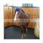 ISO9001 approved factory environmental black horse mat