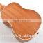 Concert All Sapele Mahogany Neck Fingerboard Rosewood Nylon Strings Ukulele