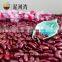 Polished hand pick selected Dark red kidney bean for cannery