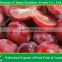Supply delicious sweet fresh red globe grape red globe grape from China