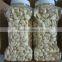 2015 Storing Chinese Fresh Peeled Garlic