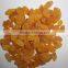 INDIAN EXPORTER YELLOW RAISIN