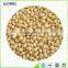 2016 New crop Blanched Peanut