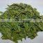 GMP Factory Supply Natural Senna Leaf Extract Sennosides