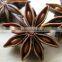 Star anise seeds - with stems, star anise without stems, broken star aniseeds from Vietnam