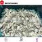 frozen oyster mushroom price with high quality