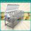 LXTP-3000 Automatic Vegetable Washing and Peeling Machine