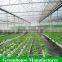 Customized High Quality Polycarbonate Sheet Agricultural Greenhouses