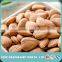Sweet and Bitter Apricot Kernels