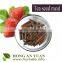 Tea Extract powder Natural non-ionic surfactant tea saponin powder