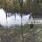agricultural spraying equipment thermal fogger