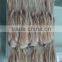 Frozen Illex Squid Tentacle