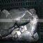 frozen moon fish (mene maculata)