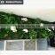 Gardening christmas gift for wall rock decoration moss stone