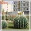 Home decor artificial crafe cactus plant all kinds of cactus and succulent artificial plants