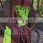 100% Bamboo Blanket