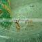 EN14960 Inflatable bubble ball soccer
