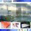 IQF frozen mango spiral conveyor freezing machine spiral blast freezer