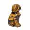 Tiger eye Animals