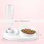 Automatic Integrated Pets Feeder Bowl Bevel Cats Dogs Double Water Bowls Neck Protection