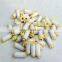 New 53404.4411538 CNG Natural gas filter