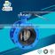 High Quality China Supplier DN150 EPDM Seat Manual Wafer End Type or Flange type Butterfly Valve