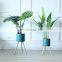Latest Favourable Price Fancy New Luxury Garden Metal Plain Plants Flower Pot Outdoor