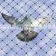 HDPE 12x12mm mesh bird netting catching knotted bird net