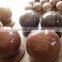 import granite balls, different colors