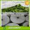 suitable sunshine hydrophilic disposable white ground cover Non woven ground cover