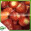 2015 Crop Iqf Strawberries Honey