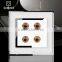 China Supplier 2015 Wallpad White Waterproof Acrylic Glass 110~250V EU UK Electric Double 4 Pin Male Audio Wall Socket Jack