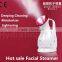 Skin whitening kingdom portable facial steamer price