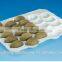China made USA Required Fresh Producing Tray